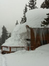 Snow of 2010.jpg